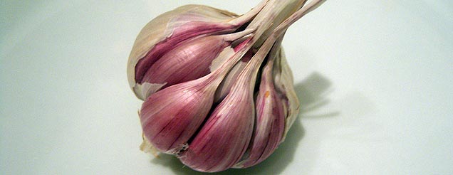 garlic bulbs picture quiz image by Challenge the Brain